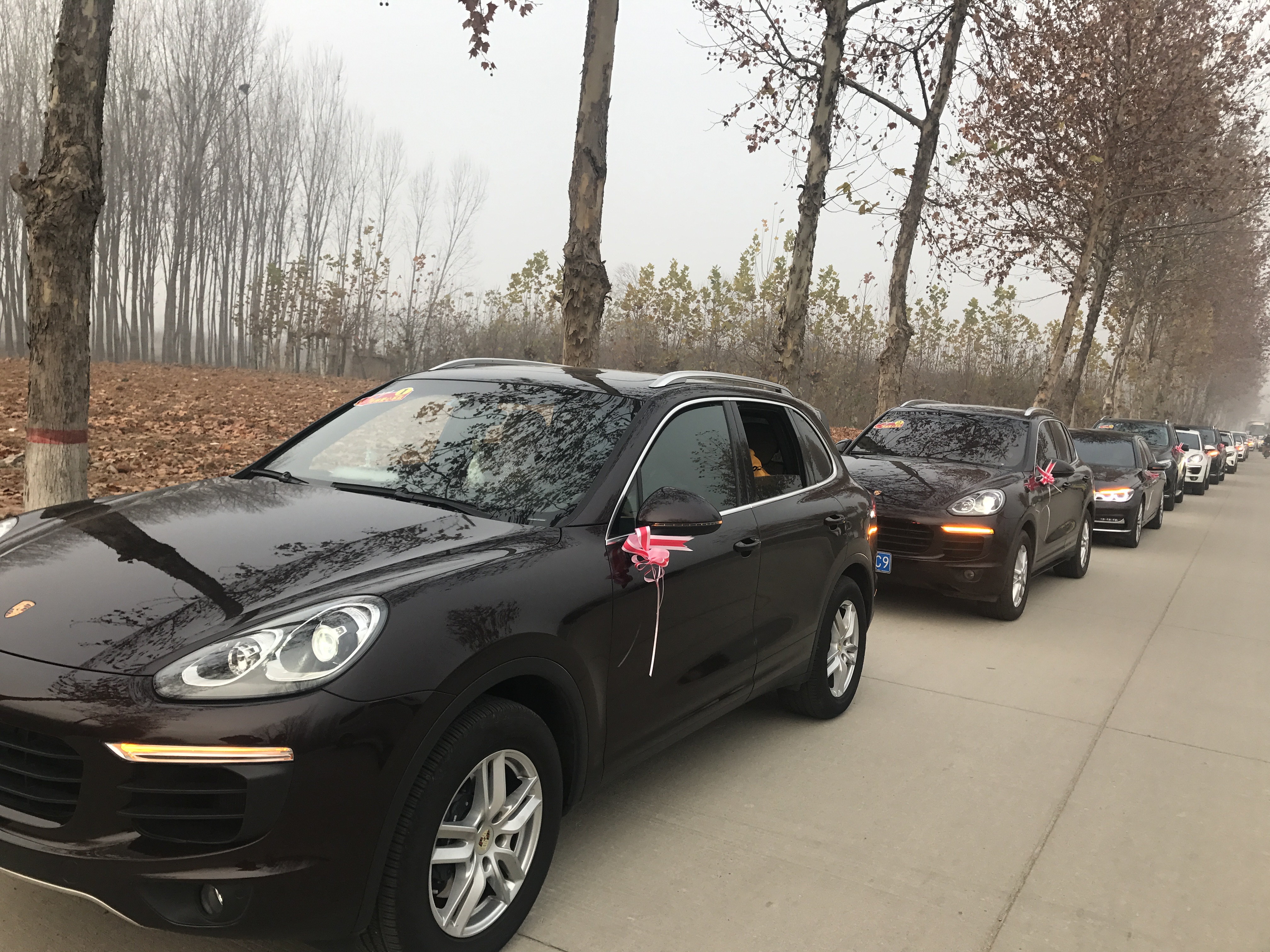 第183所 泰安市岱岳区良庄镇万象城(中国)李娜小学 第183所 泰安市岱岳区良庄镇万象城(中国)李娜小学