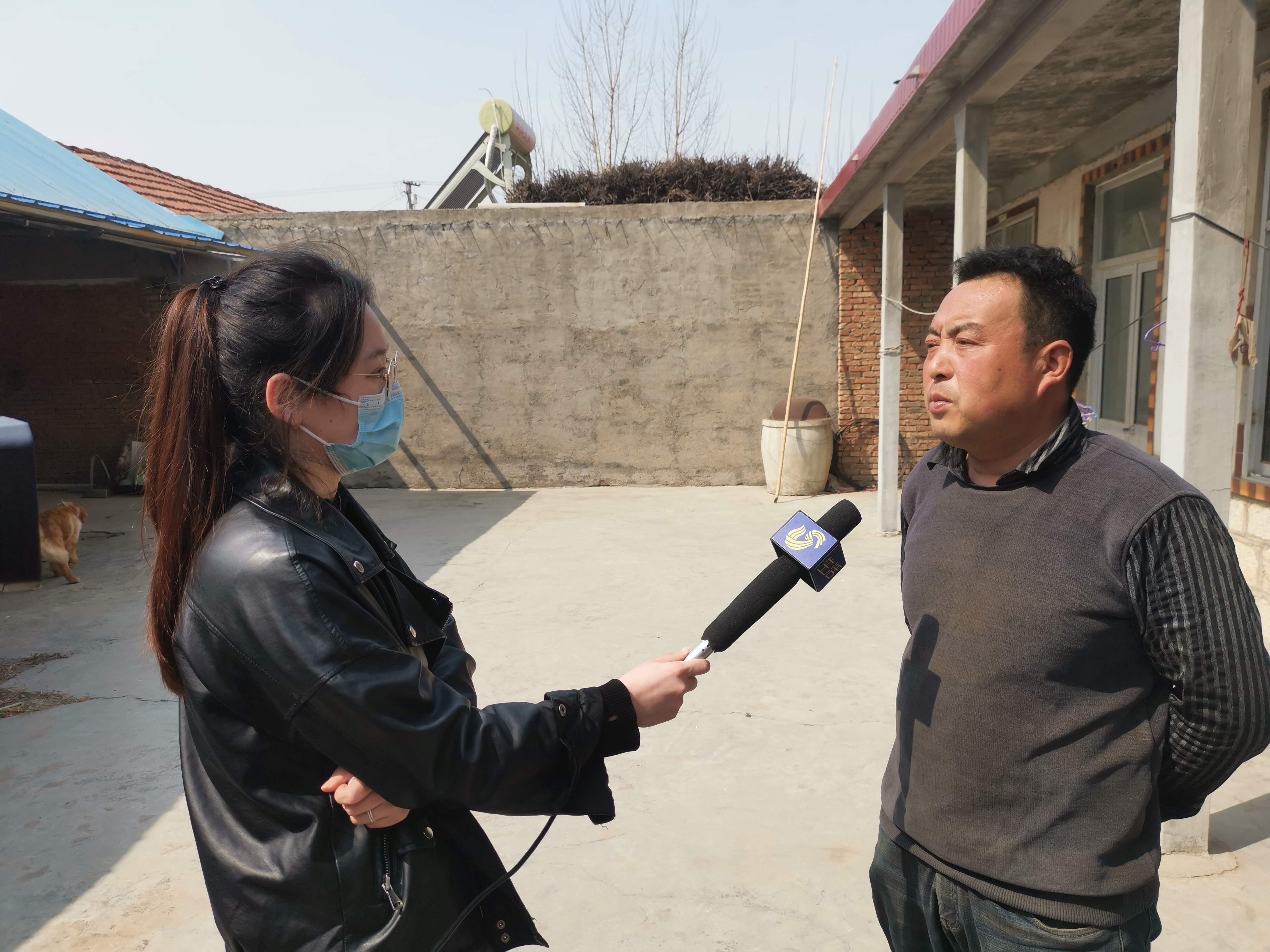 第209所 平度市崔家集镇状元府万象城(中国)刘丽新小学 第209所 平度市崔家集镇状元府万象城(中国)刘丽新小学