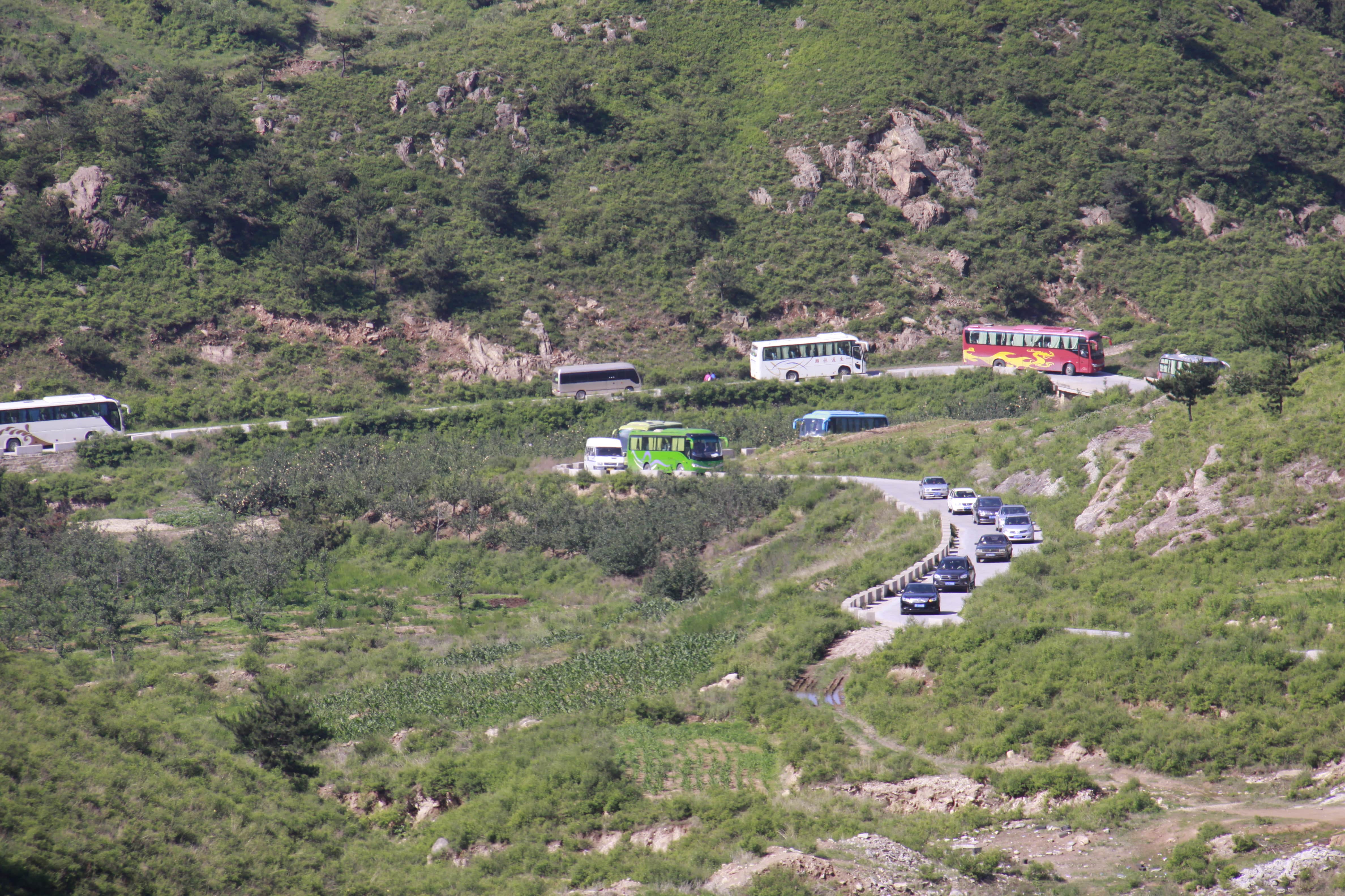 第26所 葫芦岛市永安堡乡万象城(中国)张越小学 第26所 葫芦岛市永安堡乡万象城(中国)张越小学